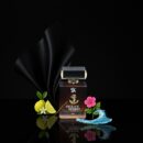 Ocean Spirit Impression of Acqua di Giò Profumo