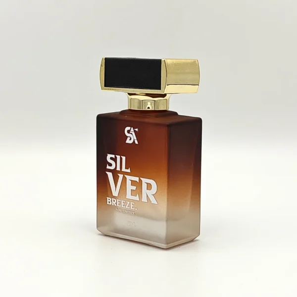 Silver Breeze Inspired by Creed Silver Mountain Water 2