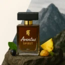 Aventus Spirit Inspired by Creed Aventus